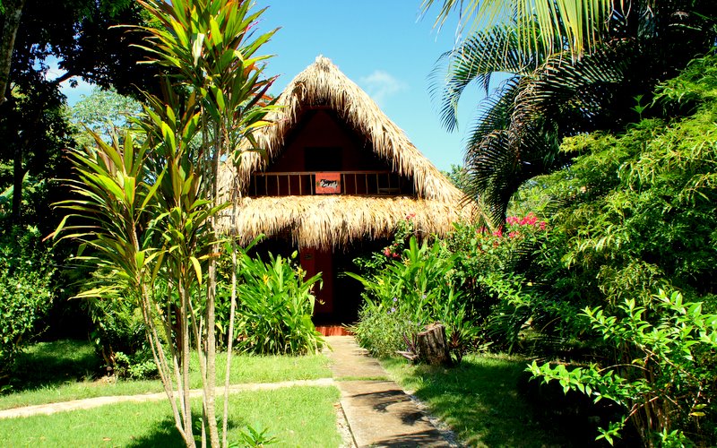 Casa del Gato Las Galeras Villa Rentals