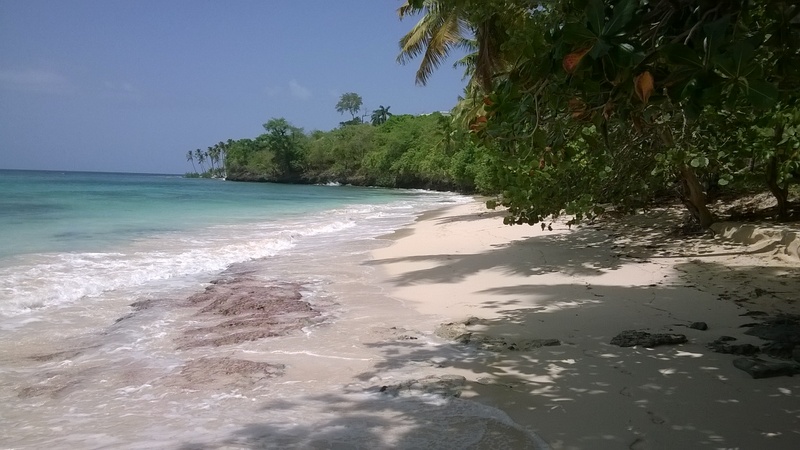 Playa Caleton Las Galeras Beach